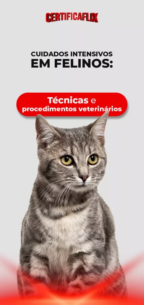 Cuidados Intensivos em Felinos