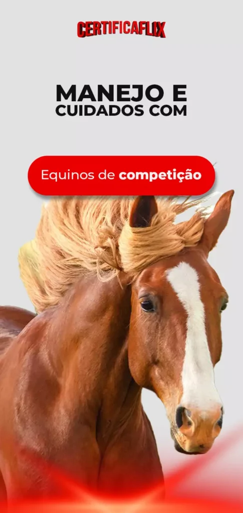 Manejo e Cuidados com Equinos de Competição