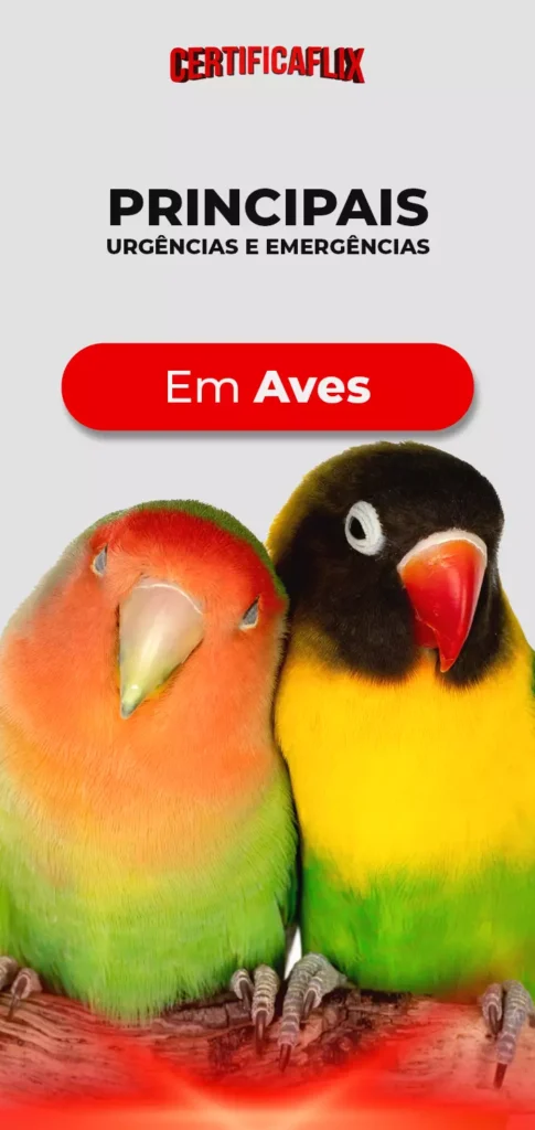 Principais Urgências e Emergências em Aves