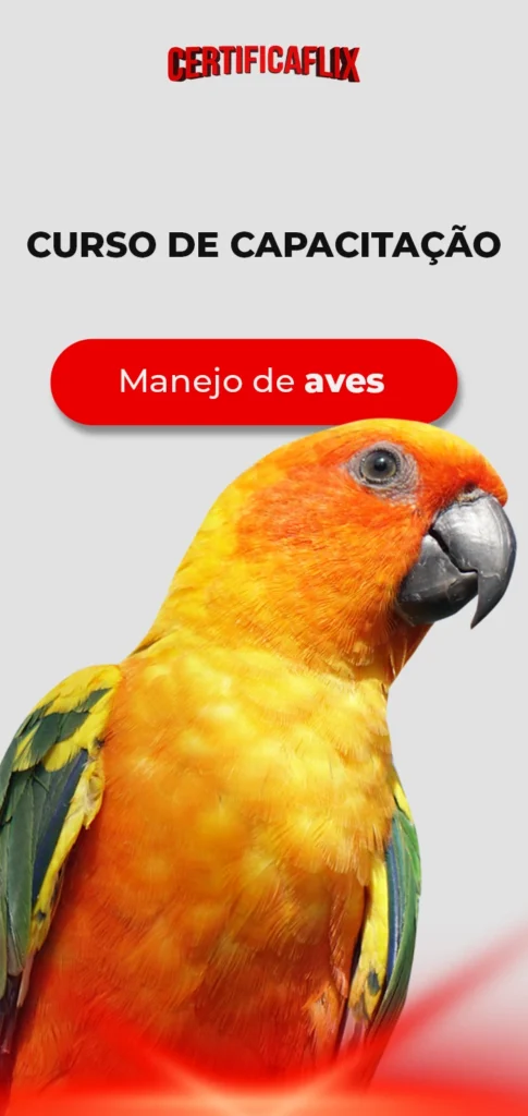Manejo de Aves