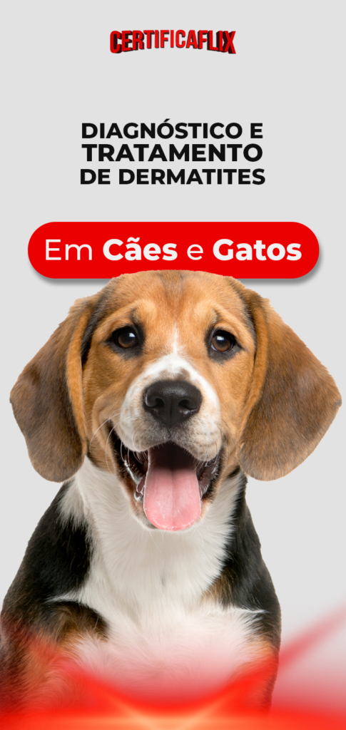 Diagnóstico e Tratamento de Dermatites