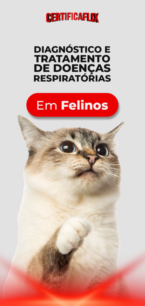 Diagnóstico e Tratamento de Doenças Respiratórias