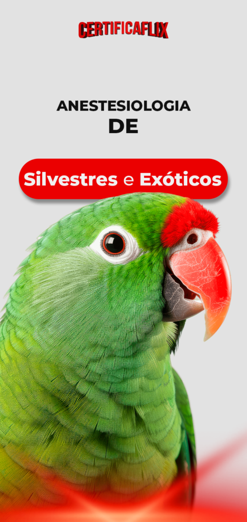 Anestesiologia de Silvestres e Exóticos