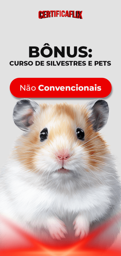 Silvestres e Pets Não Convencionais