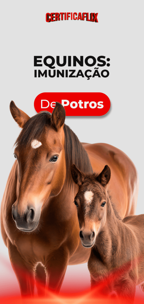 Equinos: Imunização de Potros