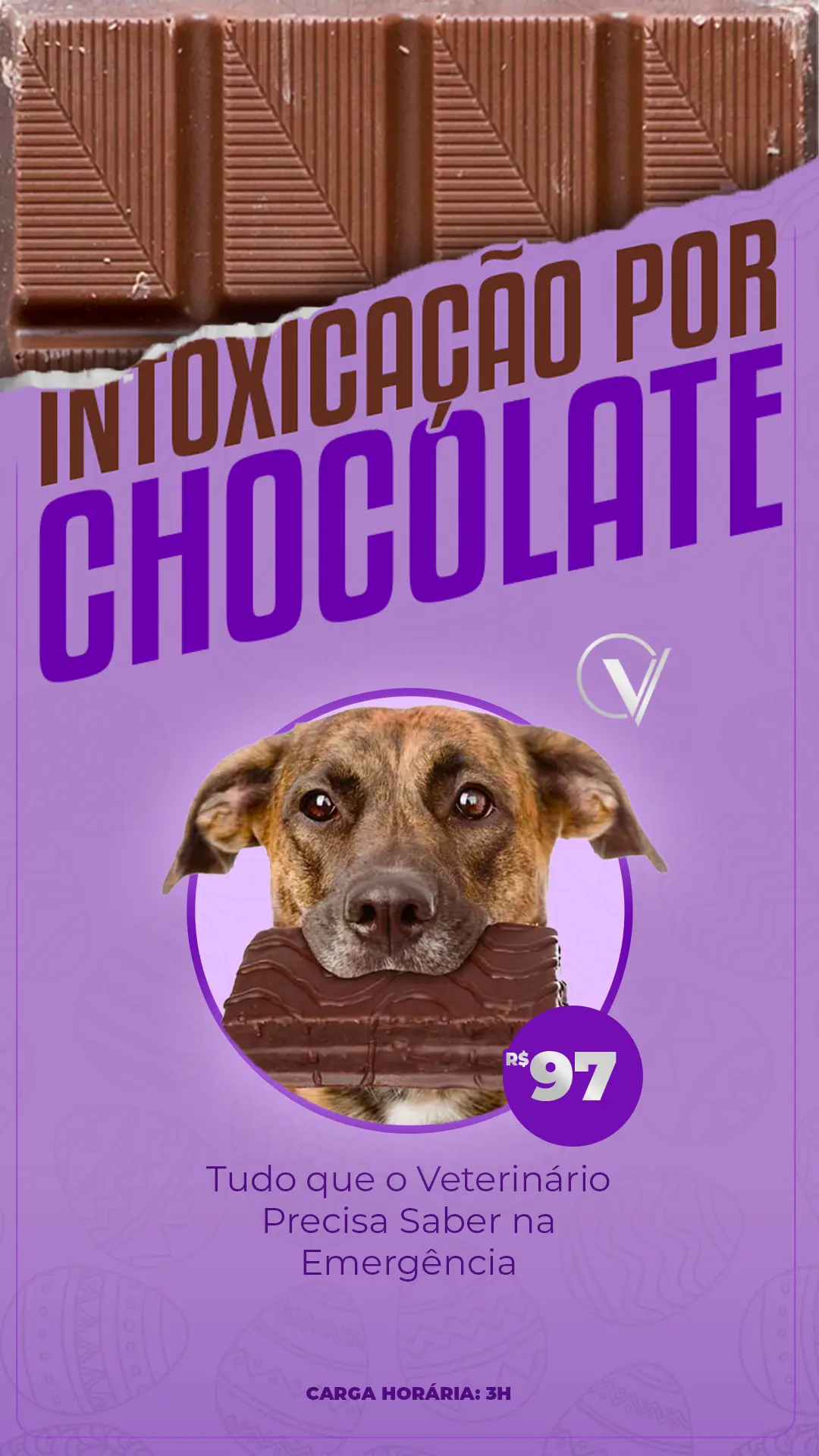 AnyConv.com__1080 X 1920 (VITRINE) Intoxicação por Chocolate_ Tudo que o Veterinário Precisa Saber na Emergência