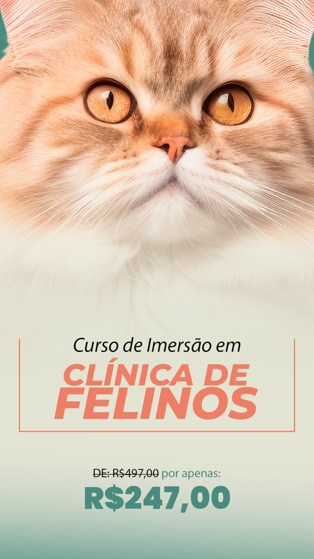 CAPA-VITRINI-IMERSAO-FELINOS.png