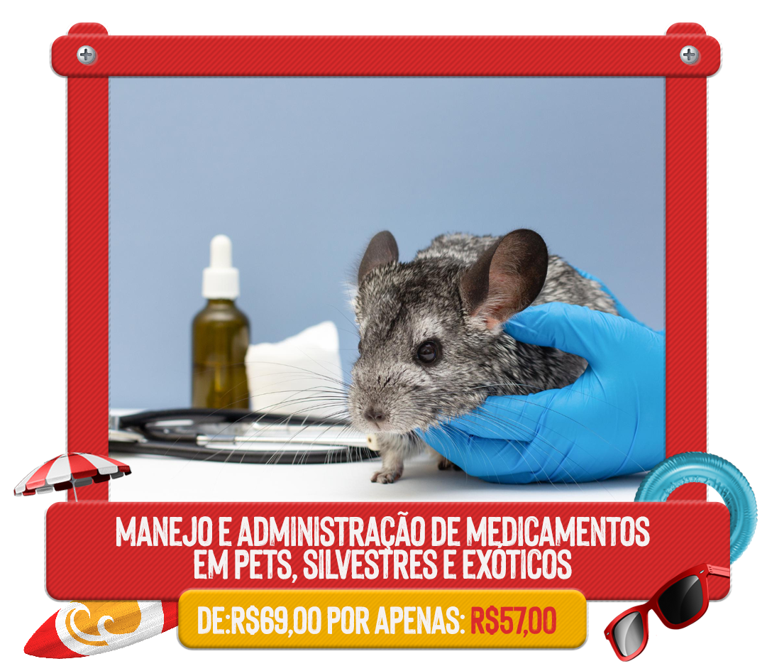 Tag-Curso-Ferias-com-ImagemPrancheta-1-copiar-5