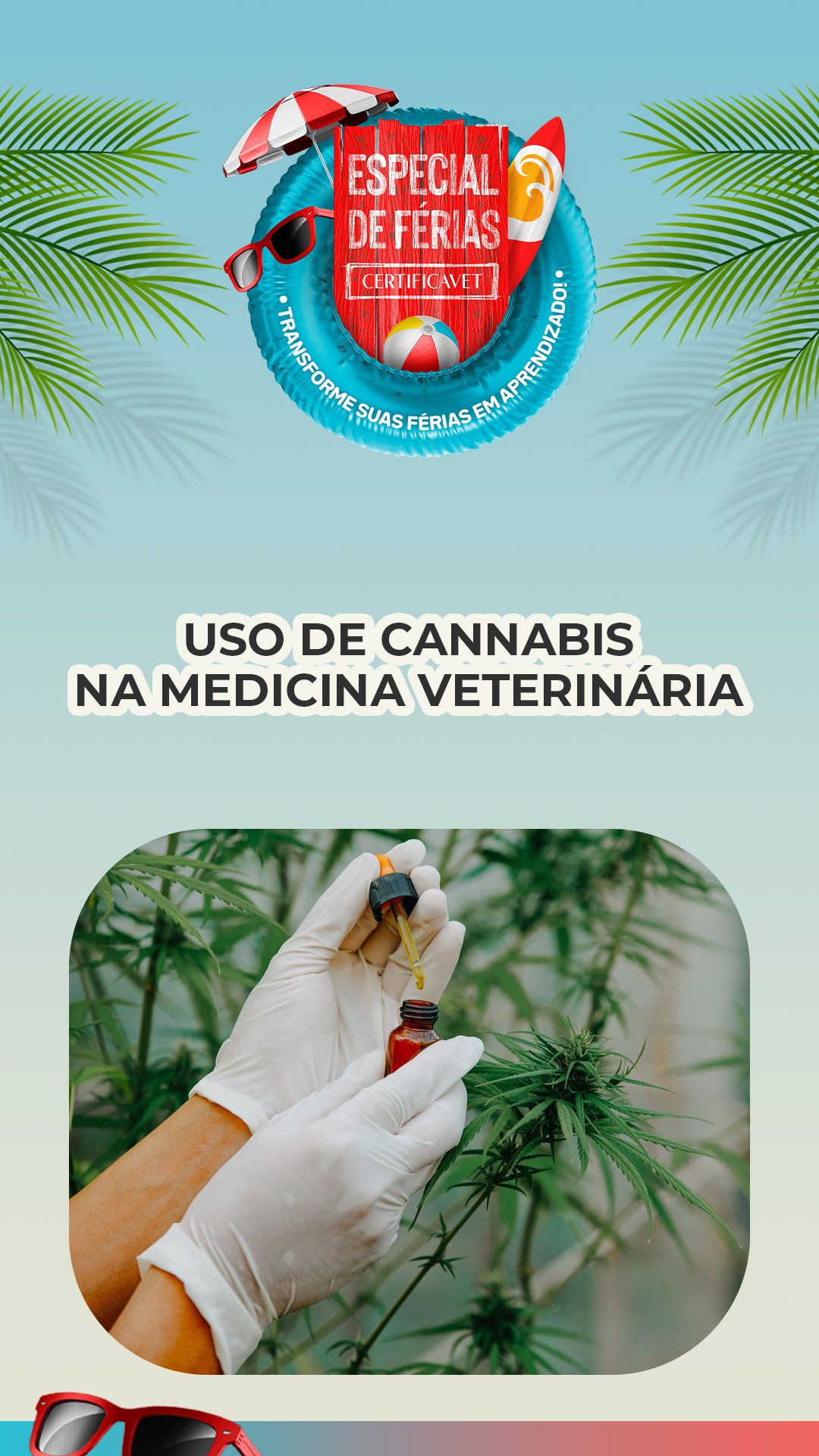 08 - USO DE CANNA_