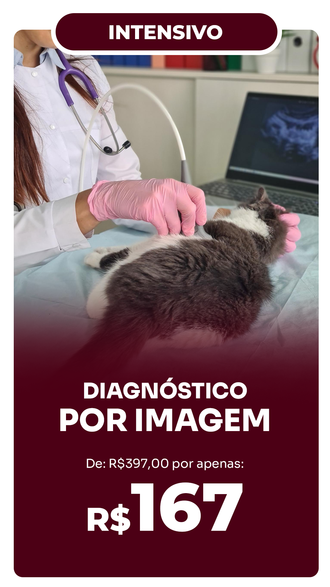 Novas-Capas-VitrinePrancheta-1-copiar-5